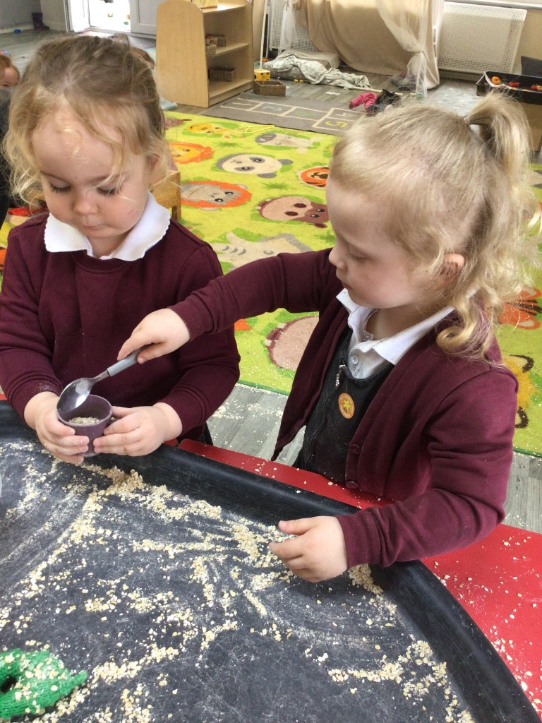 Image of Exploring oats