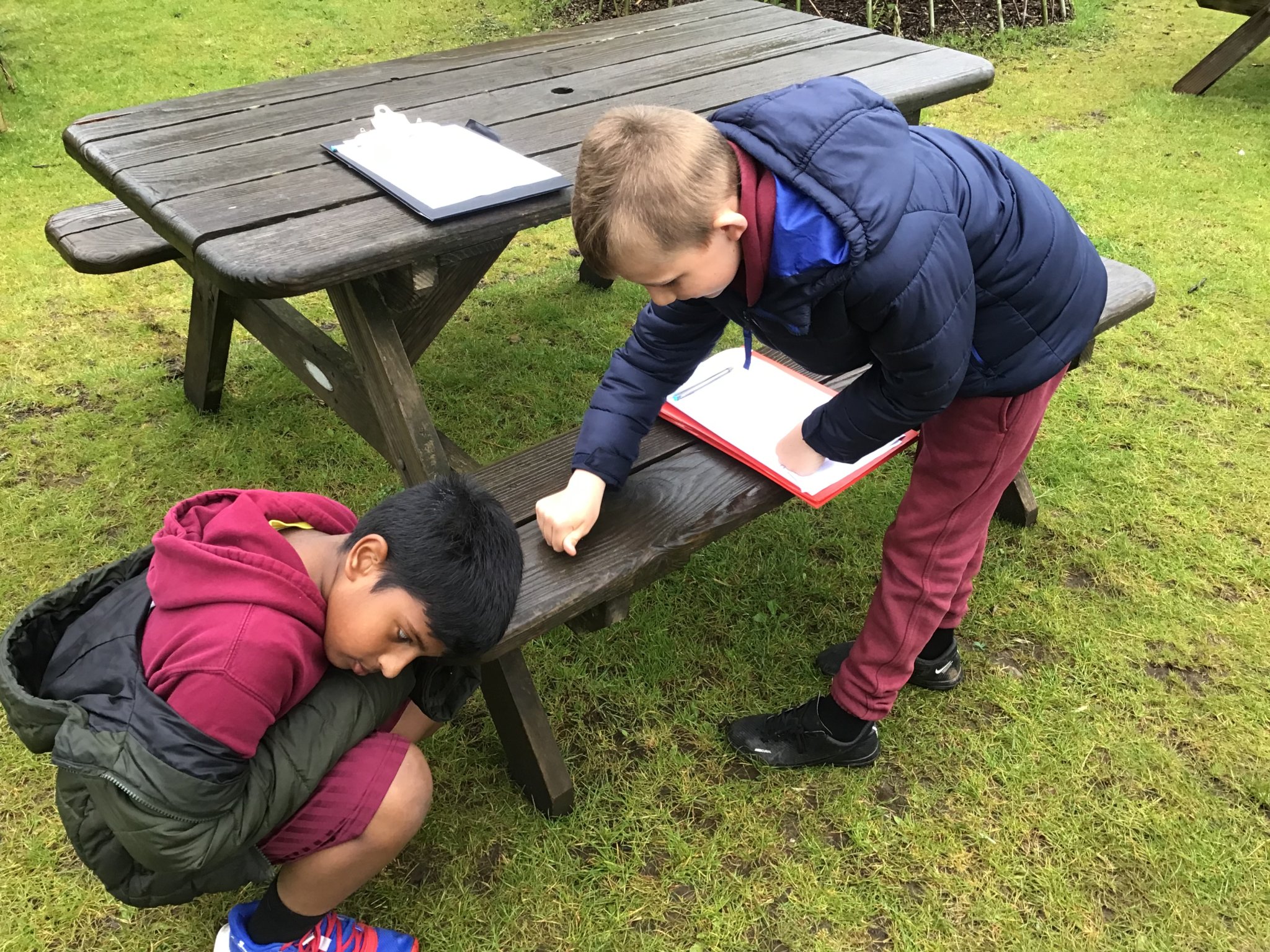 Image of Year 4 Exploring Sound Outdoors