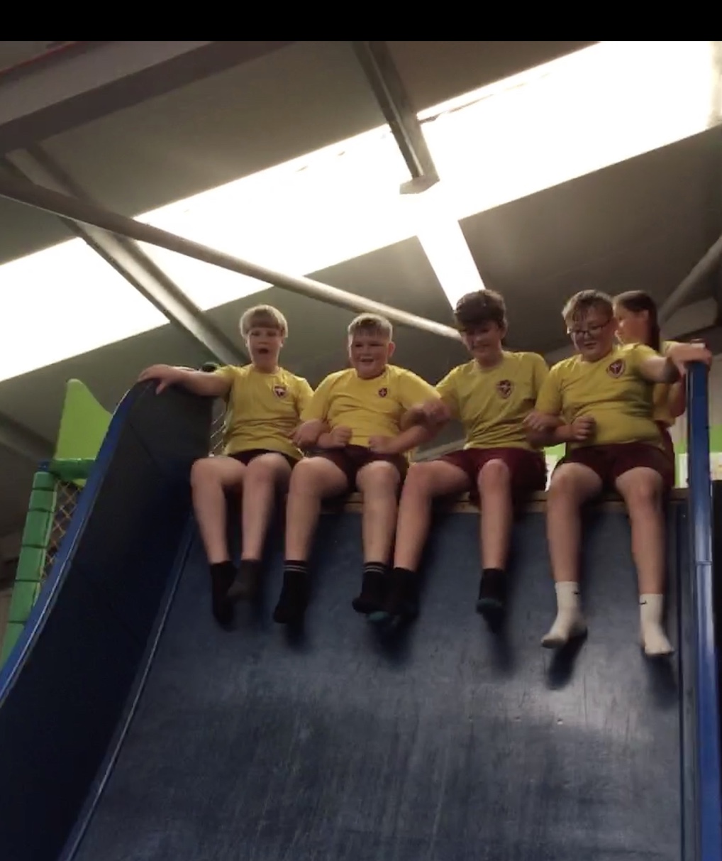 Image of KS2 End of Year Trip - Walby Farm Park