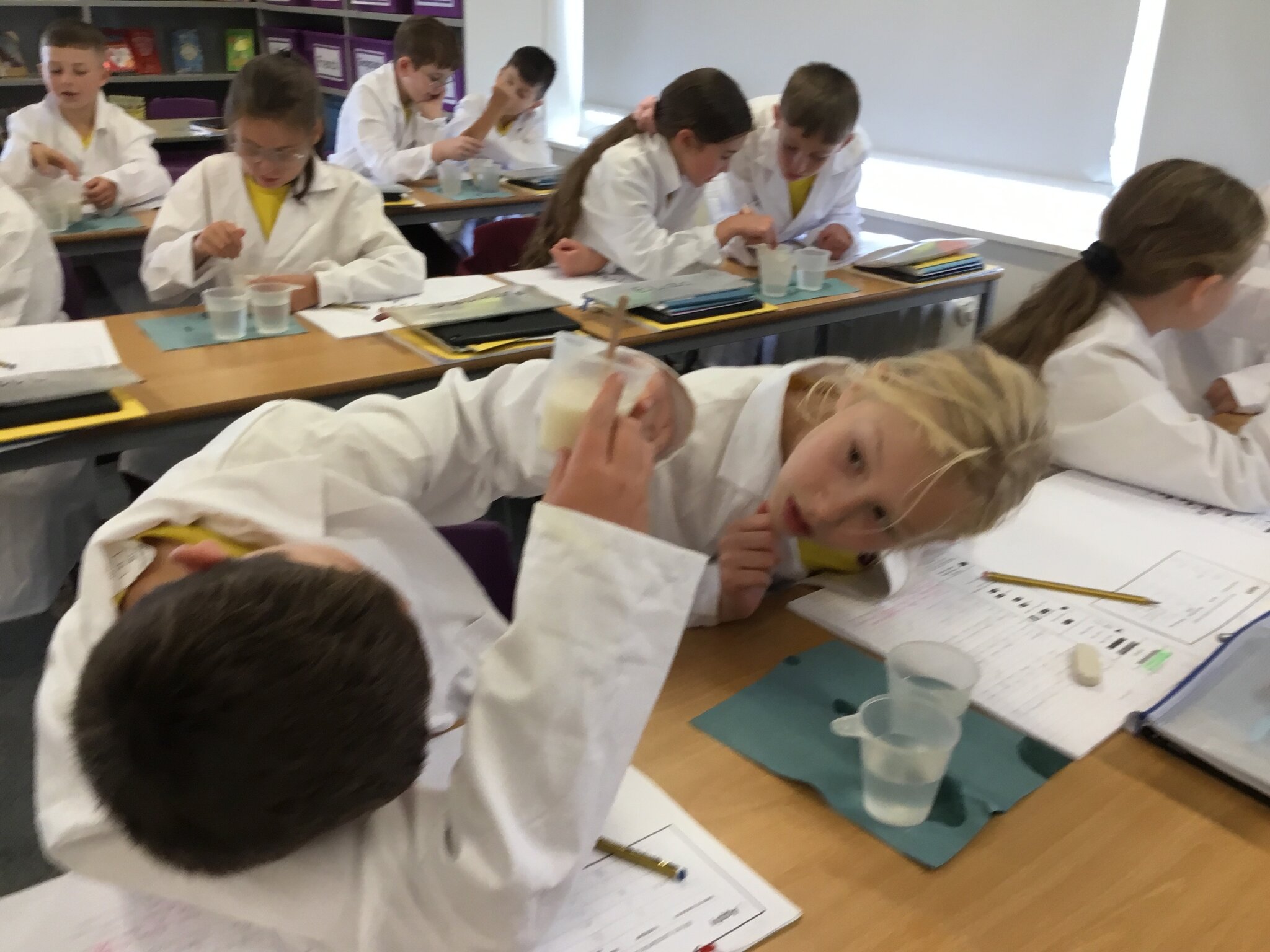 Image of Science In Year 5 
