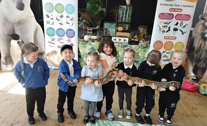 Image of Pet Encounter Cumbria
