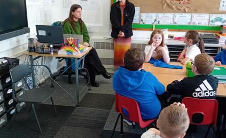 Image of Year 3 and 4 Bright Stars project