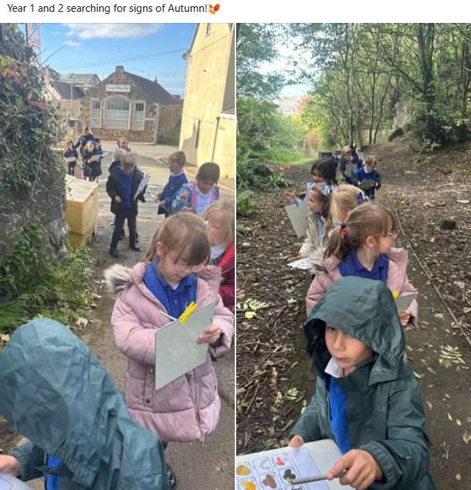 Image of Looking for signs of Autumn in science. Year 1 and 2 have been out and about.
