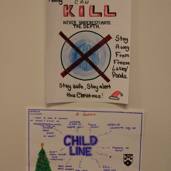 Image of PSHE Year 9 Awareness Poster's