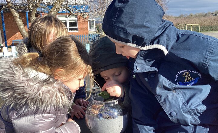 British Science Week