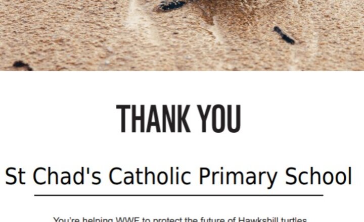 Image of Eco‑Warriors on a Mission: Saving Energy and Supporting Wildlife