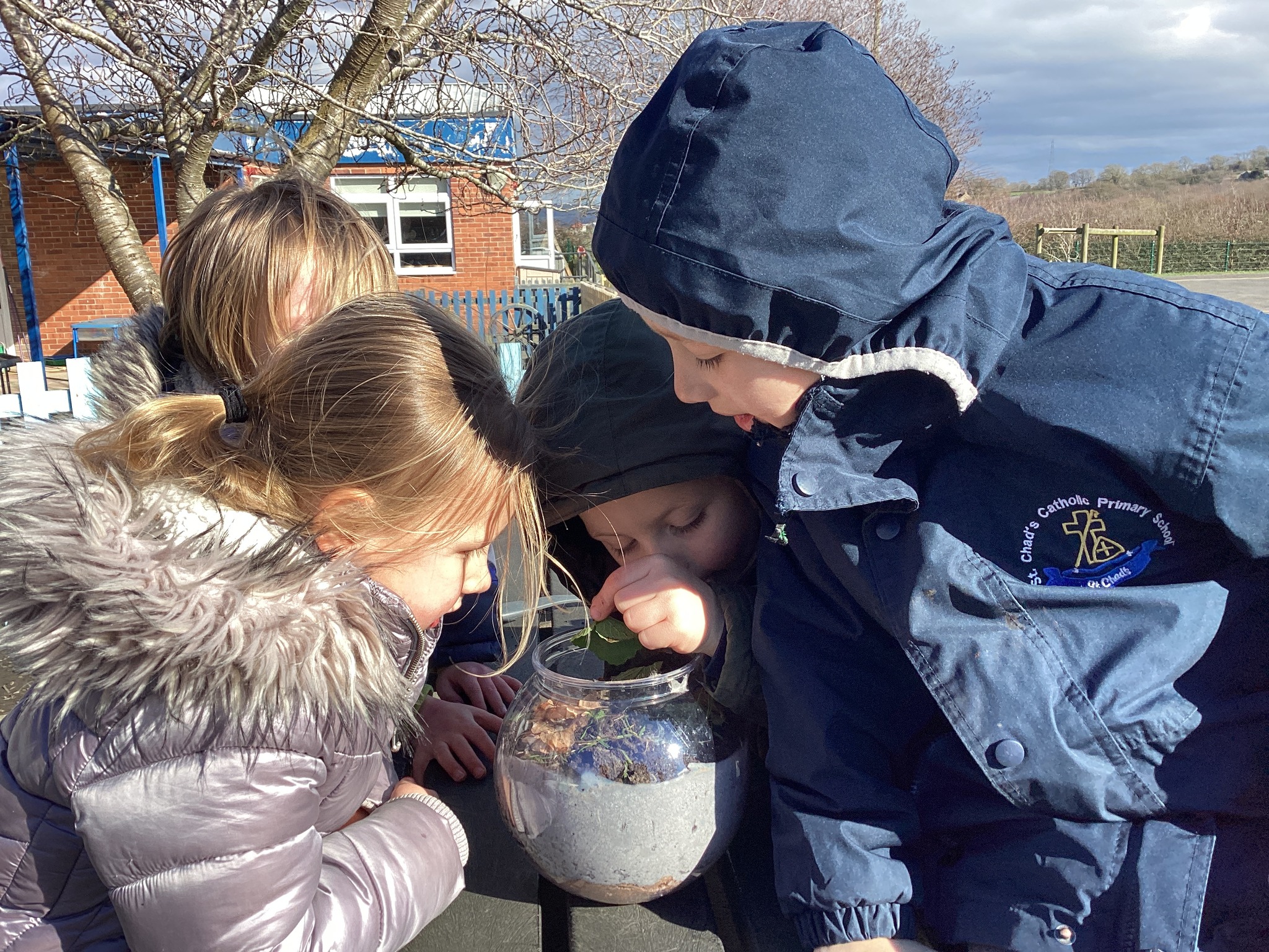 British Science Week