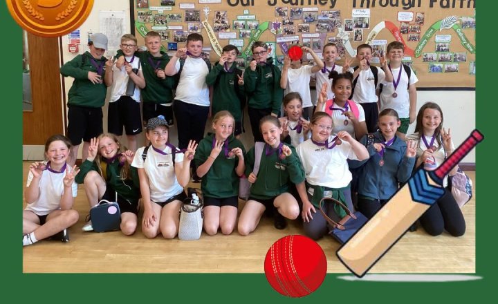 Go Well Cricket Competition