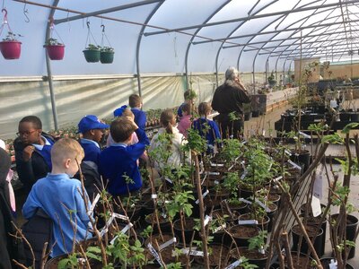 Image of Year 3 visit to Kenyon Hall Farm