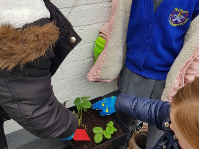 Image of Gardening Club