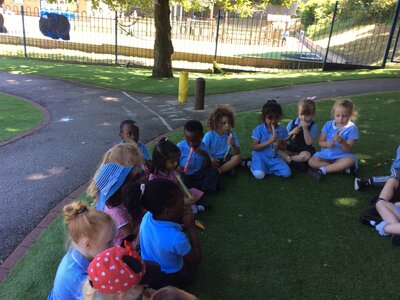 Image of Learning in the outdoors