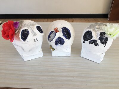 Image of Finished Damien Hurst Skulls