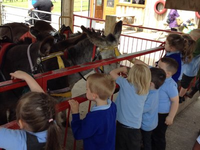 Image of Nursery visit to Smithalls Farm- donkeys