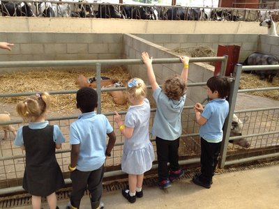 Image of Nursery visit to Smithalls Farm- Animal feeding