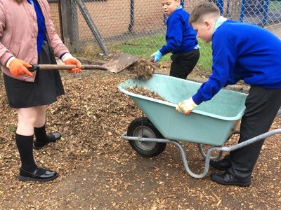 Image of 6S Forest School 