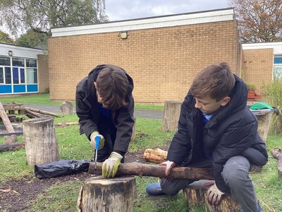 Image of Forest School Picture 2