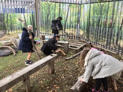 Image of Forest School Picture 3