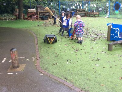 Image of Nursery leaf picking