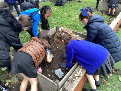 Image of Planting New Life