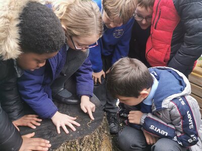 Image of Playground science 