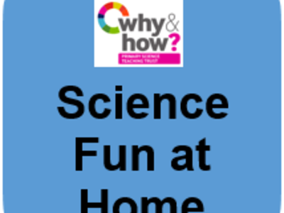 Image of Science fun at home link