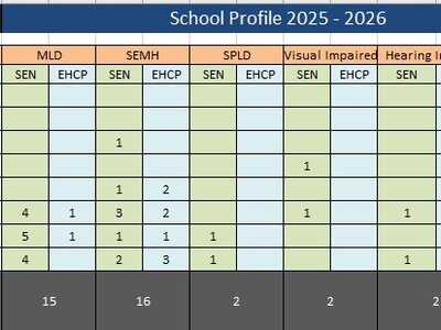 Image of SEN profile