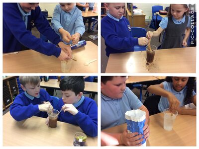 Image of Y5 Science photos