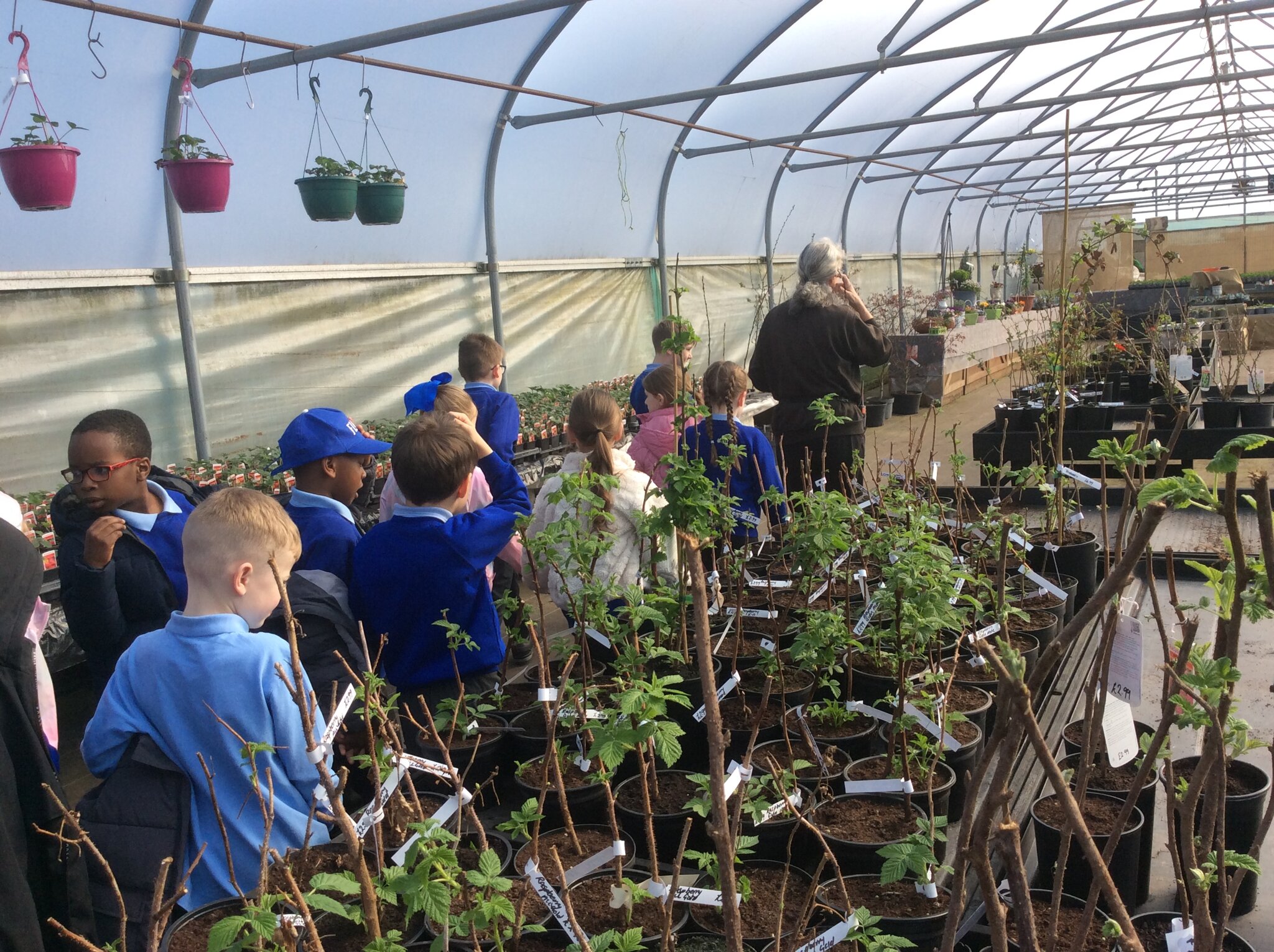 Image of Year 3 visit to Kenyon Hall Farm