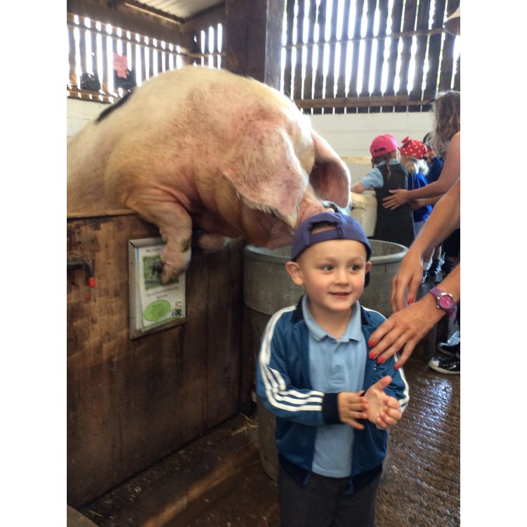 Image of Nursery visit to Stockley Farm