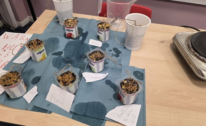 St. Cuthbert's Hartlepool pupils showing their homemade seed feeder
