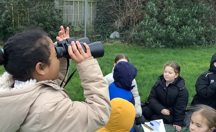 St. Cuthbert's pupils enjoying wildlife activities at school