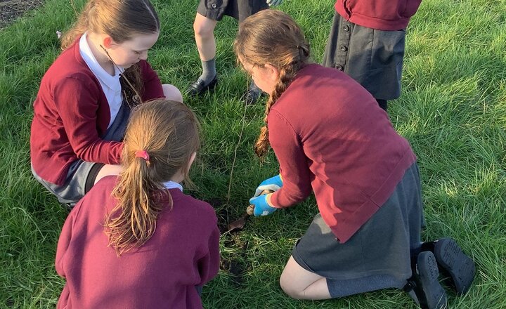 The Gardening Club at St Cuthbert's Catholic Primary School