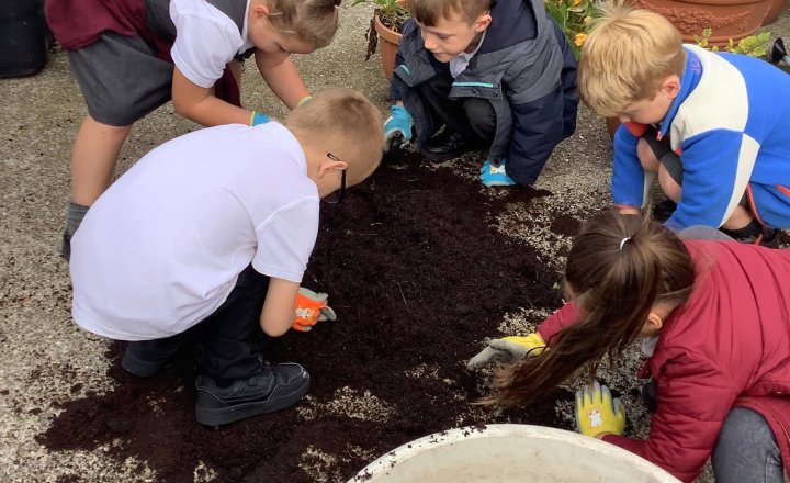 Pupils from St Cuthbert's getting their hands deep into gardening activities for the new academic year!