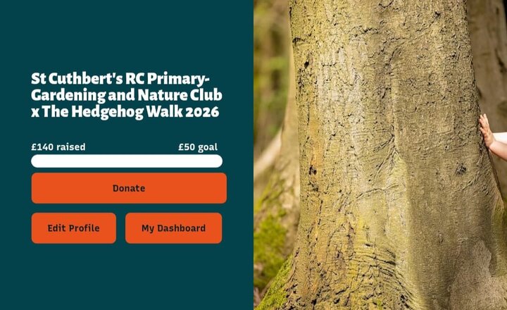 Funds raised for the Hedgehog Walk