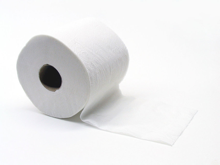 Image of Toilet Roll Challenge
