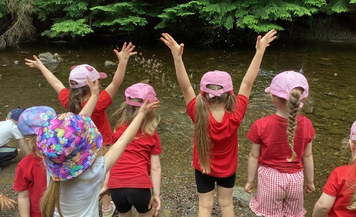 Image of Class 1 Enjoy Adventure-Filled Visit to Hamsterley Forest