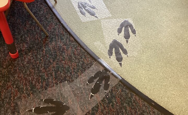 St Cuthbert's Catholic Primary School, Crook photo
