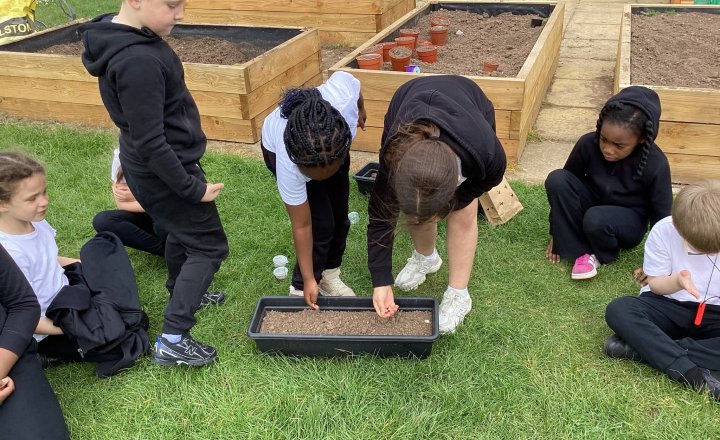 Image of Year 2 Get Growing in Science