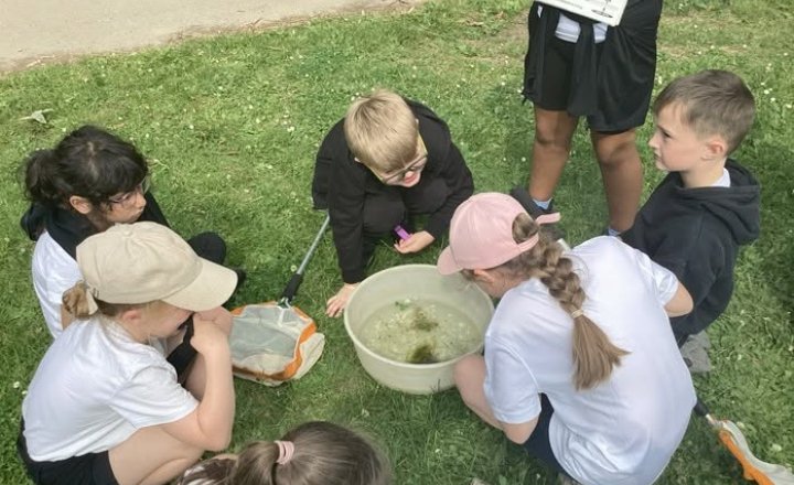Image of Year 2 Become Minibeast Explorers at Hardwick Park