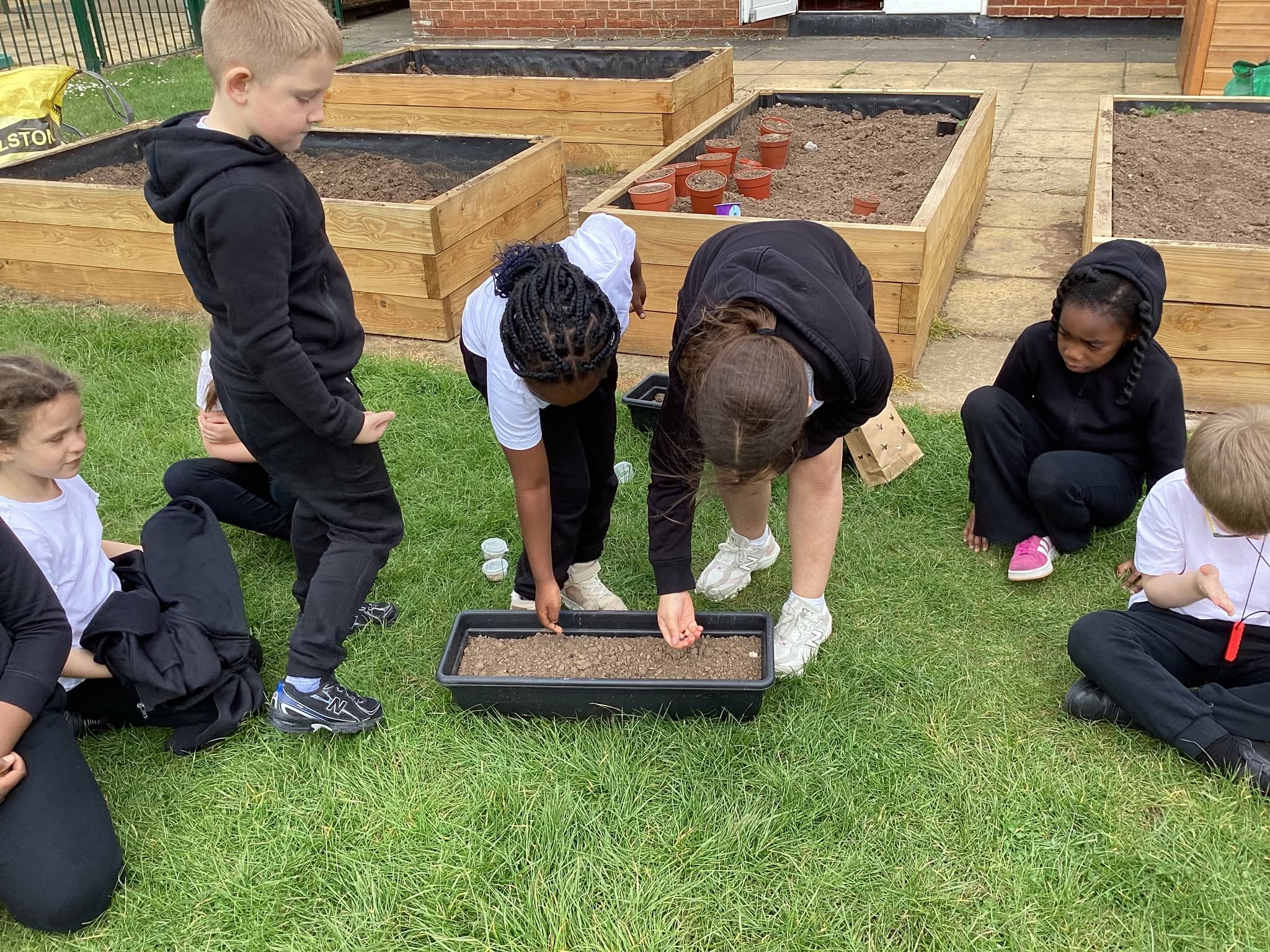Image of Year 2 Get Growing in Science