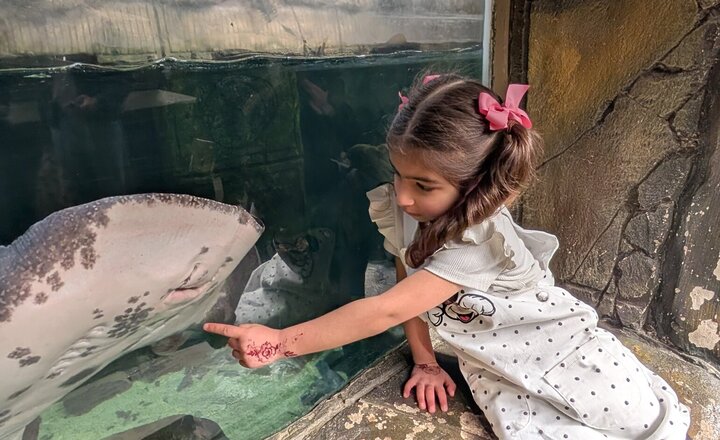 Image of Tropical World 