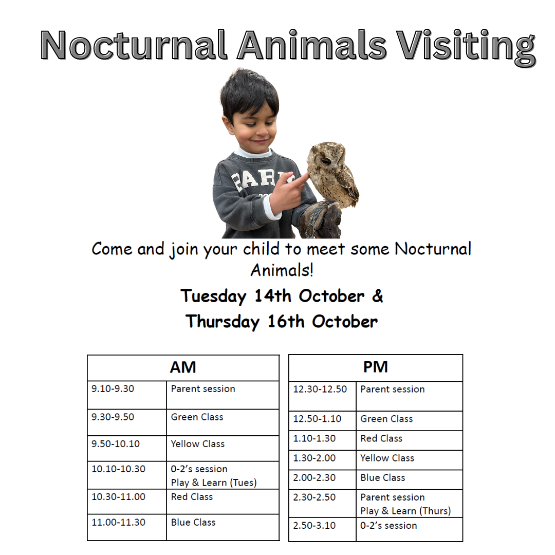 Image of Nocturnal Animals Visiting 