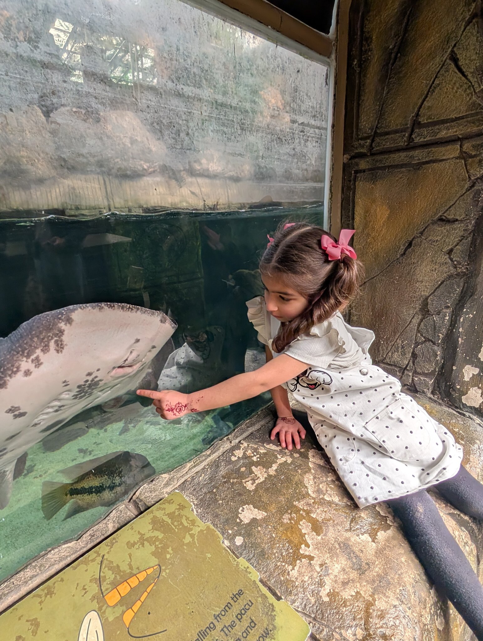 Image of Tropical World 