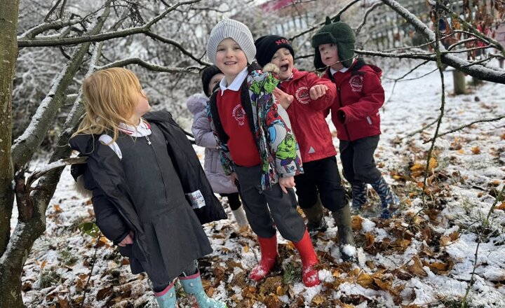 Image of Exploring and having fun in the snow today. ❄️