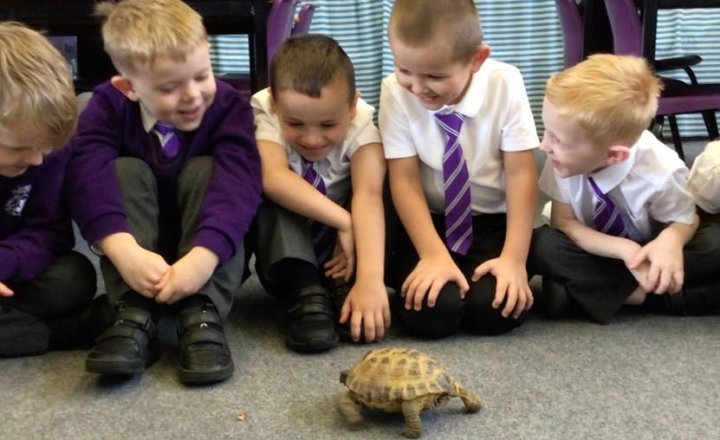 Image of Year 1 Scientists Meet Special Visitor Welly the Tortoise