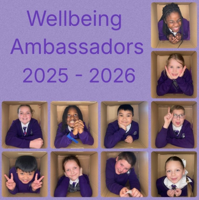 Image of Celebrating Our Incredible Wellbeing Ambassadors