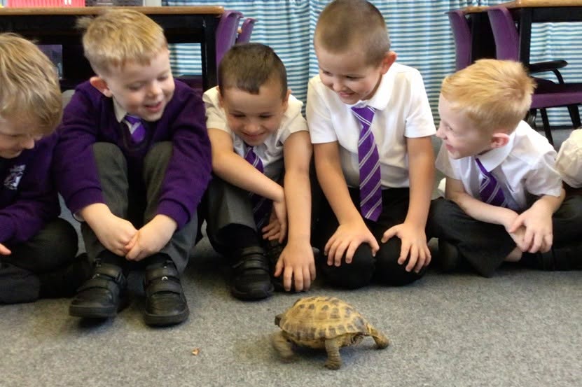 Image of Year 1 Scientists Meet Special Visitor Welly the Tortoise