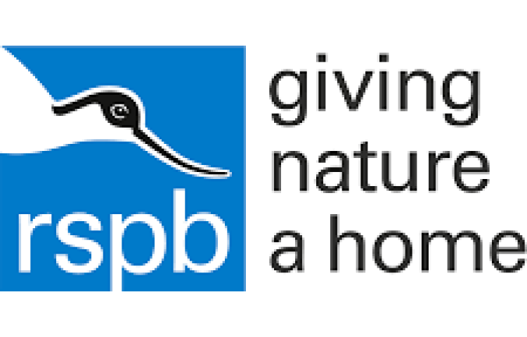Image of Year 4 trip - RSPB
