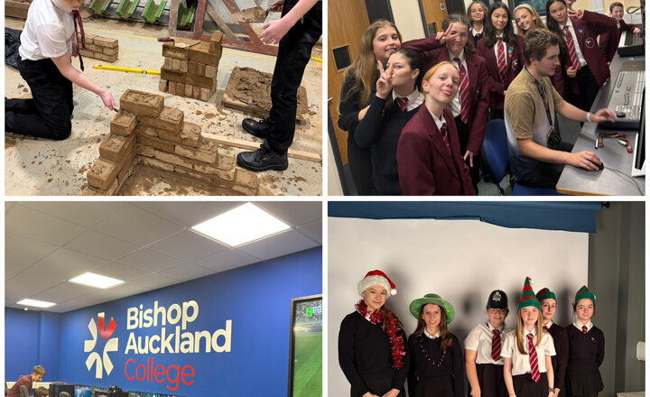 Image of College Enrichment Week: Hands-On Learning for Years 8, 9 & 10