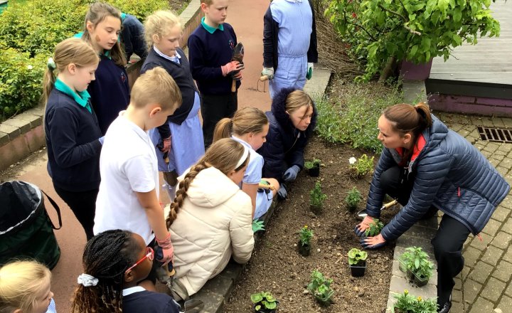 St John Vianney, Year 4 pupils getting hands-on in the outdoors